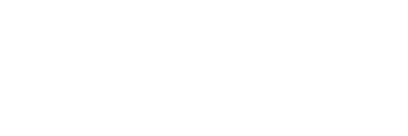 Signature of Prof. Agustín Fraile Poblador