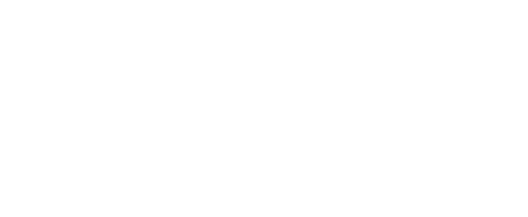 Signature of Prof. Alessandro Littara